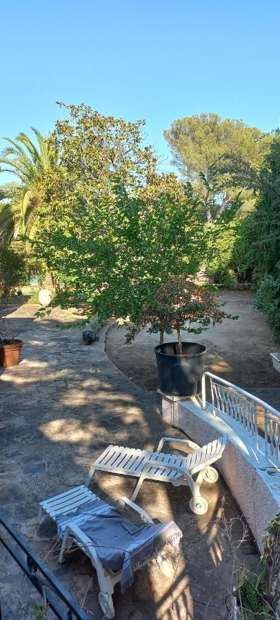 Appartement et sa grande terrasse en Rez de Jardin Saint Aygulf Buitenkant foto